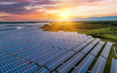 Tout ce que vous devez savoir sur le fonctionnement d’un congélateur à l’énergie solaire