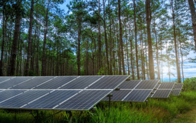 Panneaux photovoltaïques Annemasse : Comment calculer la rentabilité d’une installation de panneaux solaires photovoltaïques?